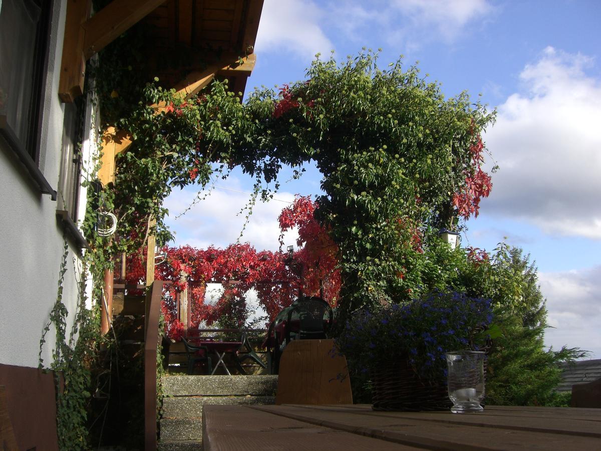 Hotel Dachsberger-Hof Wittenschwand Bagian luar foto