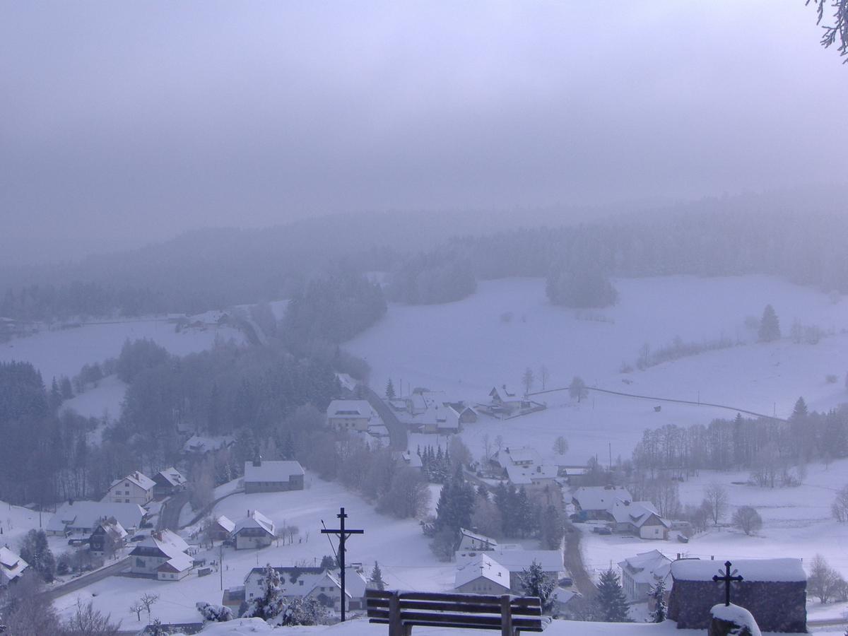 Hotel Dachsberger-Hof Wittenschwand Bagian luar foto